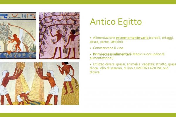 diapositiva48e4113c81-479f-d5ff-5f50-07411339c454ABD7AF56-F1DA-2859-86ED-5DD4EDC7E11E.jpg
