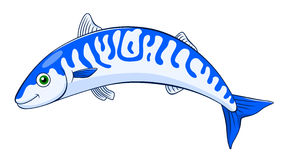 Sgombri - Caballa - Maqueraux