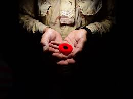 In Flanders fields